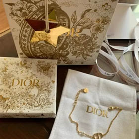 Dior bracelet necklace